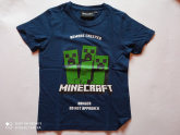 Minecraft mints pl (116,128,152)