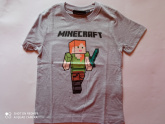 Minecraft mints pl (110/116,116/122,128/134,140/146)