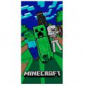 Minecraft Creeper strandtrlkz